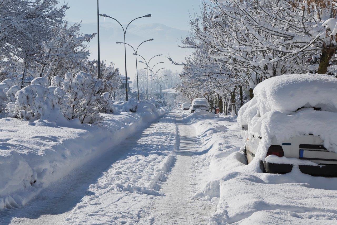 snow image